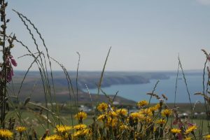 September and October Offer 2023 at the Beacon Country House Hotel